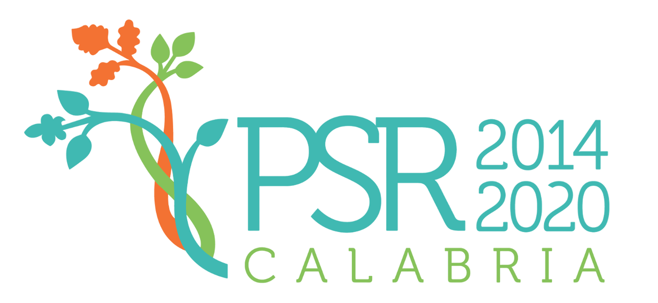 Logo PSR 20-24